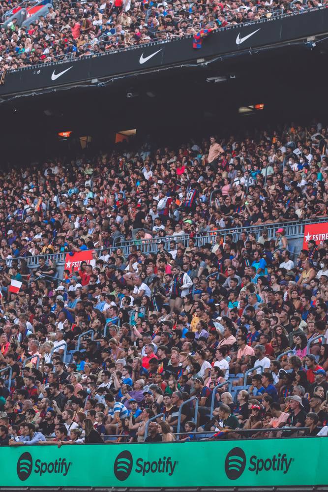 Packed stadium crowd